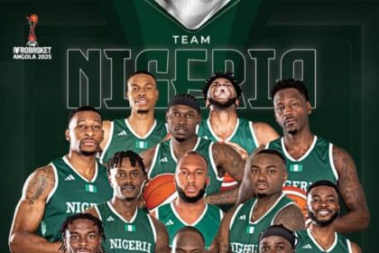 Nigeria's D'Tigers